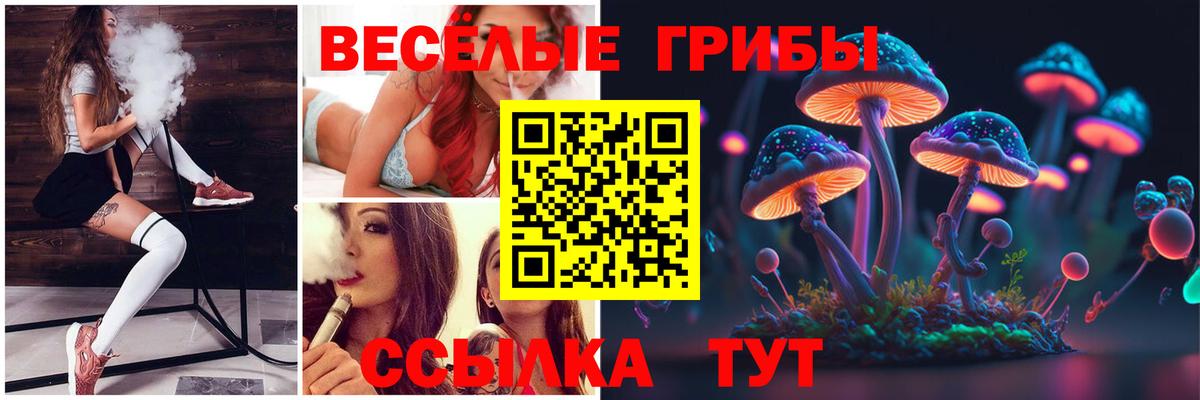Псилоцибиновые грибы прущие грибы Смоленск